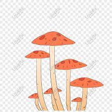 Dihalaman ini anda akan melihat gambar rumah taman kartun yang keren! Cendawan Kartun Yang Ditarik Tangan Gambar Unduh Gratis Imej 401556270 Format Psd My Lovepik Com