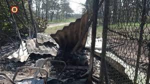Hoofdgebouw vakantiepark beekse bergen verloren door brand. Getuigen Gezocht Brandstichting Kost 10 Dieren Het Leven In Beekse Bergen Animals Today