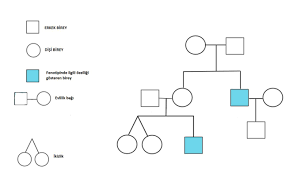 Soy Agaclari Hayatin Dilini Ogrenmek Icin