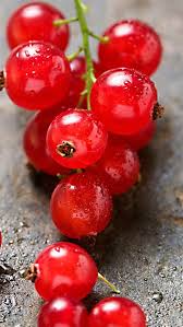Red Grape Macro Iphone 8 Wallpaper Fruit Photography Beautiful Fruits Fruit Wallpaper