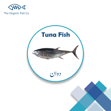Tuna Fish | دوان - The Organic Fish Co.