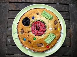 Charlie Bakes The Cell Model Project Cell Model Project Animal Cells Model Edible Cell