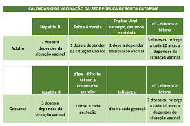 It was first identified in december 2019 in wuhan,. Divulgado Calendario De Vacinacao Da Rede Publica De Santa Catarina Aemflo