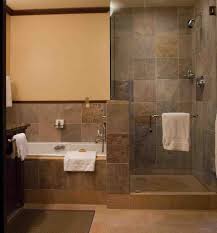 This Master Bathroom No Tub 37 Bathrooms With Walk In Showers Page 2 Of 7 Gorgeous Bathr Doorless Shower Doorless Shower Design Small Bathroom With Shower