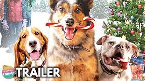 A Dog For Christmas 2021 Pups Alone 2021 Trailer Hilarious Dog Family Holiday Movie Youtube
