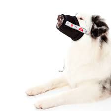 Pra calar tua boca só usando focinheira. Focinheira Conforto Para Contencao Linha Petmed