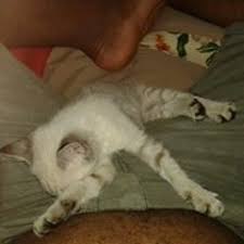 Stream Rafael Severino music