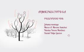 We offer you a great deal of unbiased information from the. Almacenes Exito S A By Marco Moreno