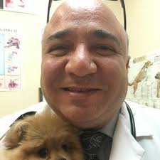 Hire At Home Pet Euthanasia in Modesto, CA