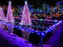 Photo By Jholliday Vancouver Bc Van Dusen Gardens Christmas Display Christmas Display Christmas Travel Photo