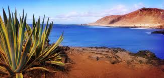 You'd be right in comparing spain's canary islands to a tropical paradise. Best Places To Stay In Canary Islands Spain The Hotel Guru