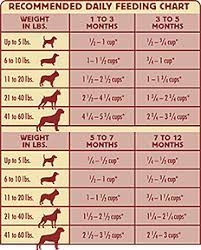 On the other hand, a less bitter taste would mean more sugar, which the dogs simply can't handle. Blue Wilderness Rocky Mountain Recipe Grain Free Puppy Food Puppy Food Grain Free Puppy Food Natural Dog Food