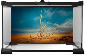 Image result for Terrarium Cling Background