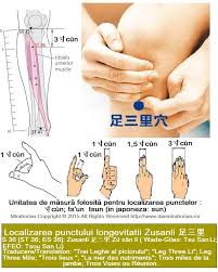Prin masarea „punctului celor 100 de boli puteți creste activitatea glandelor suprarenale, cele mai puternice glande, care acţionează ca un sistem de prin masarea „punctului celor 100 de boli se pot vindeca mai multe afecțiuni, inclusiv banalul sughit, constipația, gastrita sau incontinenta urinară. Facebook