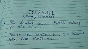 Tolerate Meaning In Tamil Youtube
