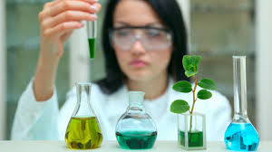 The Strangest Job in Every State