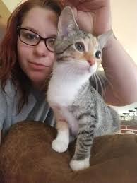 Rehoming a sweet dog in Pittsburgh