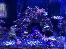 Colleen flanigan is creating sculptures under the sea with the help of google's tilt brush. Artificial Decor Reef2reef Saltwater And Reef Aquarium Forum