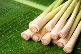If the lemongrass is intended to remain in the food when eaten, you can slice the yellow section of the lemongrass stalk into thin slices with a sharp knife. How To Use Lemongrass In Cooking Fine Dining Lovers