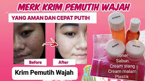 Teman institut ciencia da saude ( I.C.S) dili