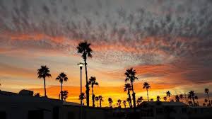 Formerly bartow cycle sports mx park. Good Life Rv Resort Campground Reviews Mesa Az Tripadvisor