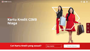 Kartu kredit cimb niaga tentunya menarik minat banyak pengguna kartu kredit. 12 Kartu Kredit Cimb Niaga Terbaik Bunga Limit Pengalaman Apply Pinjaman Online Investasi Keuangan Asuransi Duwitmu