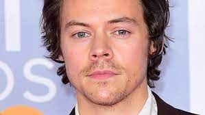 Kata harry styles beautiful gift 3d harry edward styles night light illusion led lamp for fans bedroom decor light touch control sensor color changing work desk lamp. Harry Styles Steht Nach Autopanne Auf Einmal Im Wohnzimmer Eines Superfans