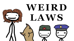 Check spelling or type a new query. Weird Laws This Video Lists Some Of The Most Bizarre Laws Still Followed By Different Countries