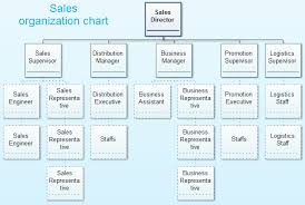 sales organization structure