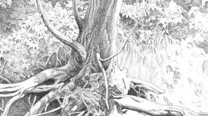 See actions taken by the people who manage and post content. Pencil Sketches 60 Fantabulous Collection Design Press