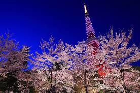 Get a fresh perspective for this online shopping industry by learning the newest ideas and trends in house architecture, interior decorating in our trade resources center. Concierge Recommendations For The Annual Events And Arts Entertainment In The Know Intercontinental Tokyo Bay