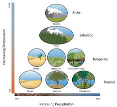 Geographic Distribution Of Biodiversity