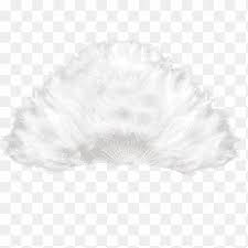 Almost files can be used for commercial. Feather Fan Png Images Pngegg