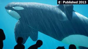 Check spelling or type a new query. The Whale Who Would Not Be Freed The New York Times