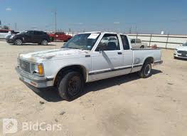 Image result for Tan 1991 Sonoma