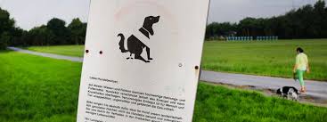 Kein hundeklo hundetoilette schild privatgrund hinweis verbot hundekot hundehauf. Verschmutzung Der Wege Hundekot Bleibt Aufreger