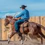 Profile Picture of Taylor Gillespie From Combat Boots to Cowboy Boots - AQHAon Google