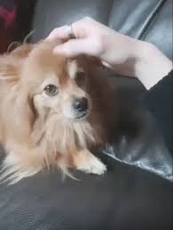 Released on january 17, 2019 with his following teaser photos. Taehyun S Hobak Hobak S Twitter