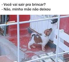 Jogo Do Benfica Ao Vivo Online Http Www Portalsuper Com Br Jogo Do Benfica Ao Vivo Online Em 2020 Memes Memes Engracados Meme Engracado