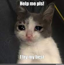 Meme Help Me Pls I Try My Best All Templates Meme Arsenal Com