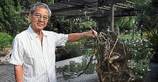 Shah alam, aug 17 — a group of 15 retired soldiers from selangor have added their voices to a growing choir against tan sri koon yew yin over the prominent tycoon's description of the malaysian armed forces are doing nothing except eating and sleeping. Koon Yew Yin å®˜æœ‰ç¼˜ Tycoon Koon Tells His Side Of Story About His Stocks Sharetisfy