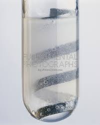 8 When Zinc Reacts With Hydrochloric Acid To | Studyx