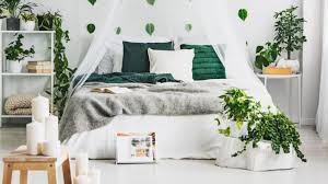 Kebanyakan isi rumah adalah dari perabot murah. 6 Tanaman Hias Yang Cocok Untuk Hiasan Di Rumah