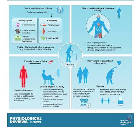 Multisystem physiological perspective of human frailty and its modulation  by physical activity | Physiological Reviews | American Physiological  Society