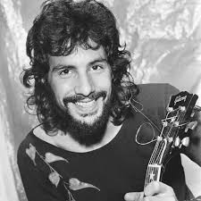 Cat Stevens Music Career and Transition