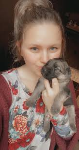 Bentley German Shepherds