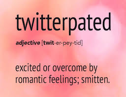 I Always Thought Twitterpated Meant Upset And Bouncing Up And Down Like A Cellar Spider Weird Words Uncommon Words Unusual Words