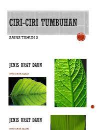We did not find results for: Ciri Ciri Tumbuhan