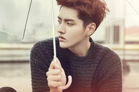 Asian hair hairstyle haircuts for men kris wu long hair styles korean hairstyle barber man boy hairstyles attractive people boys glasses kris wu luhan glasses kim junmyeon new year. Film Review Kris Wu And Liu Yifei S Never Gone Oh Press