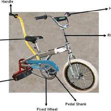 Video skandal ayah ml dengan anaknya | nonton dan download video skanda ayah kandung yang lagi ngentotin. Pdf Bicycle Training For Youth With Down Syndrome And Autism Spectrum Disorders